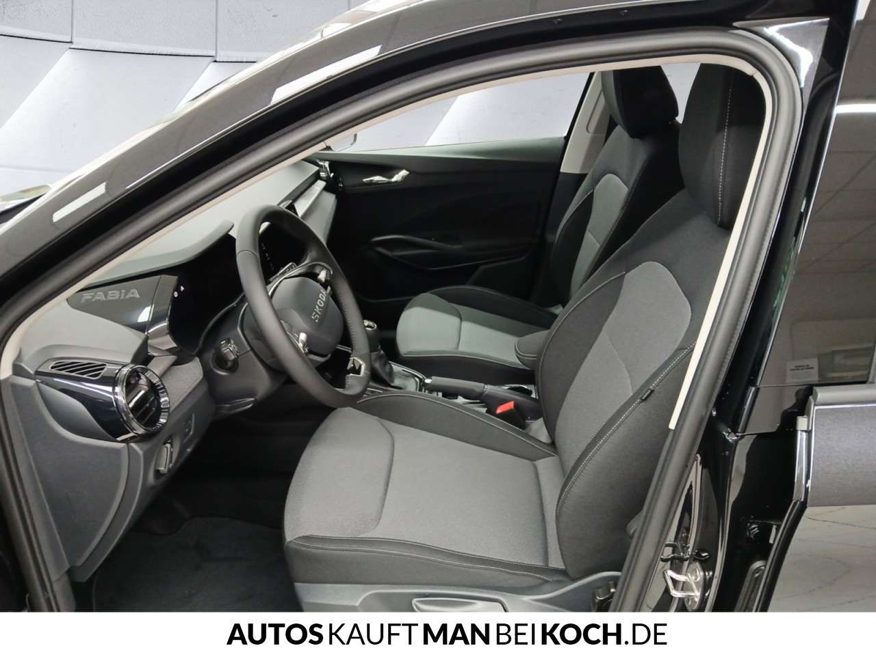 Fahrzeugbild eines Skoda Fabia