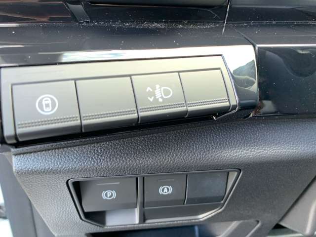 Fahrzeugbild eines Renault Austral