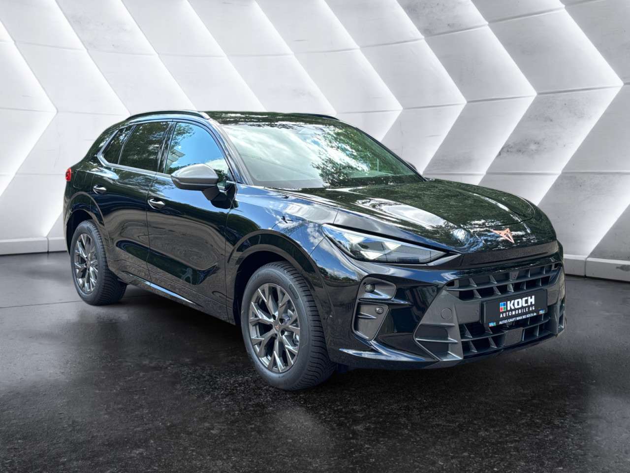Fahrzeugbild eines CUPRA Terramar