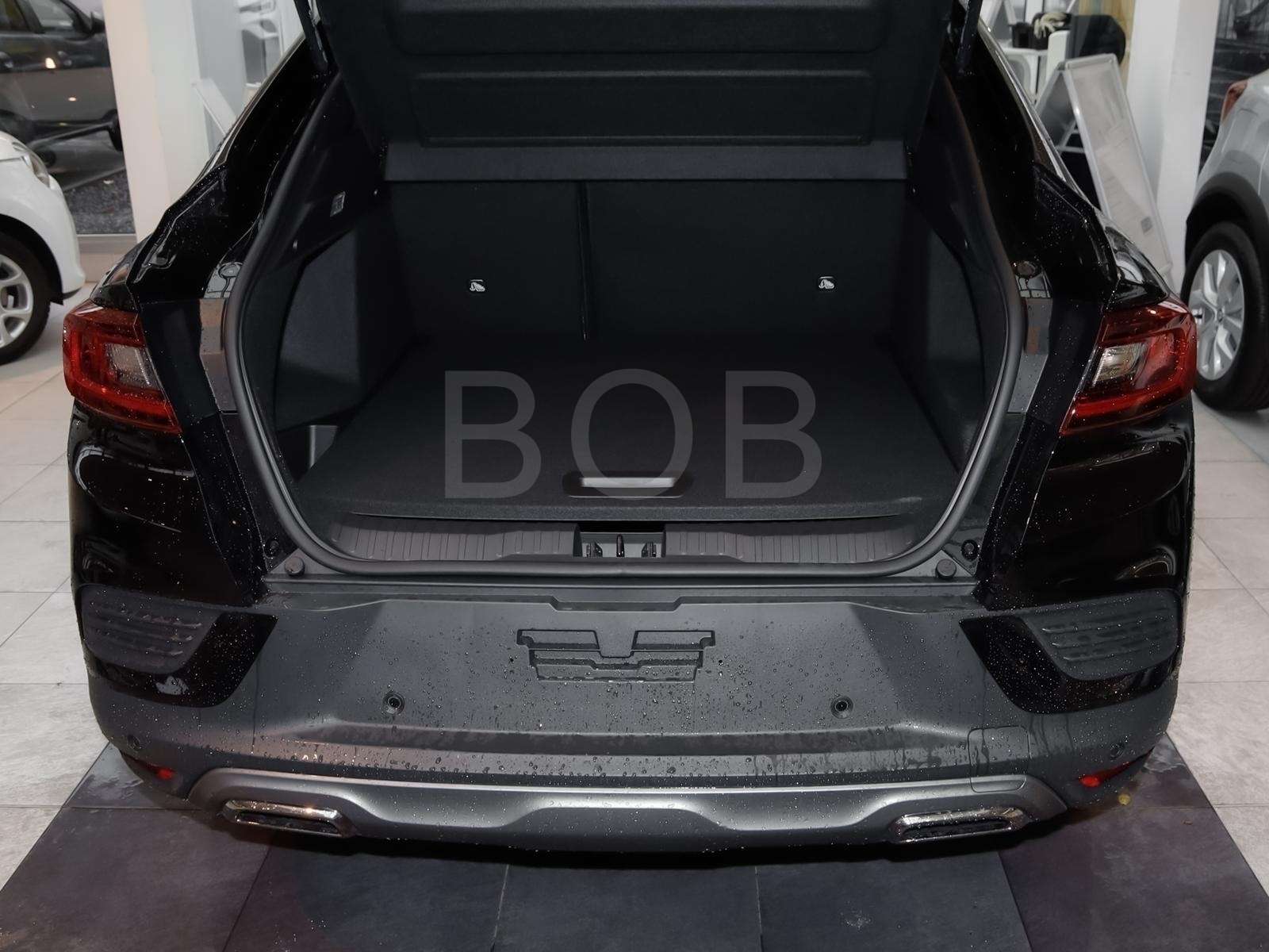 Fahrzeugbild eines Renault Arkana