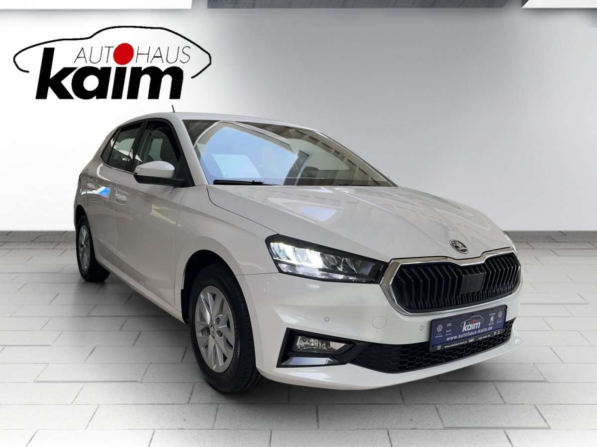 Fahrzeugbild eines Skoda Fabia