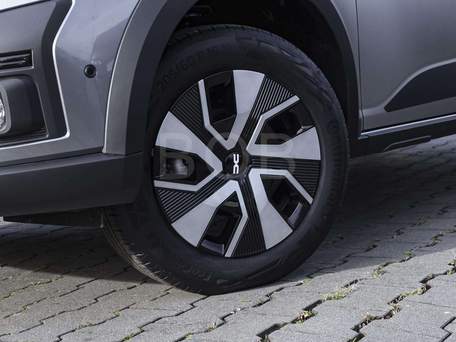 Fahrzeugbild eines Dacia Sandero