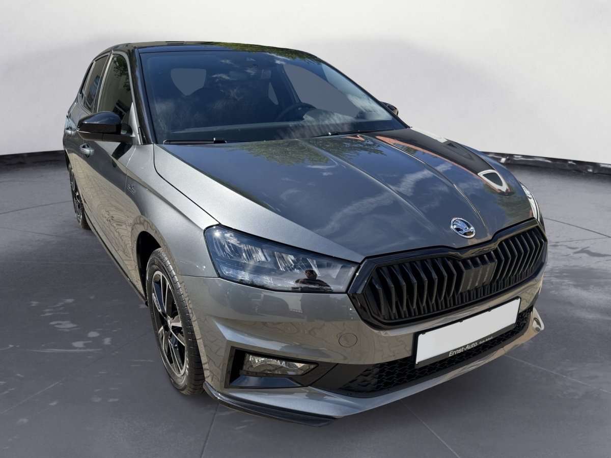 Fahrzeugbild eines Skoda Fabia
