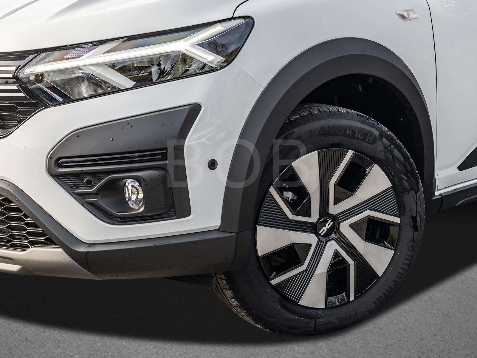 Fahrzeugbild eines Dacia Sandero