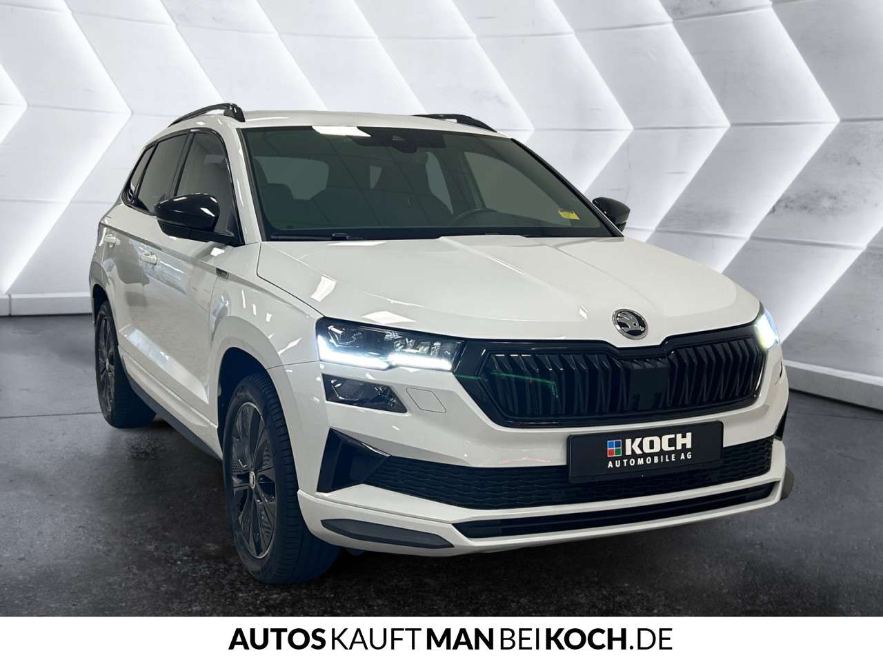 Fahrzeugbild eines Skoda Karoq