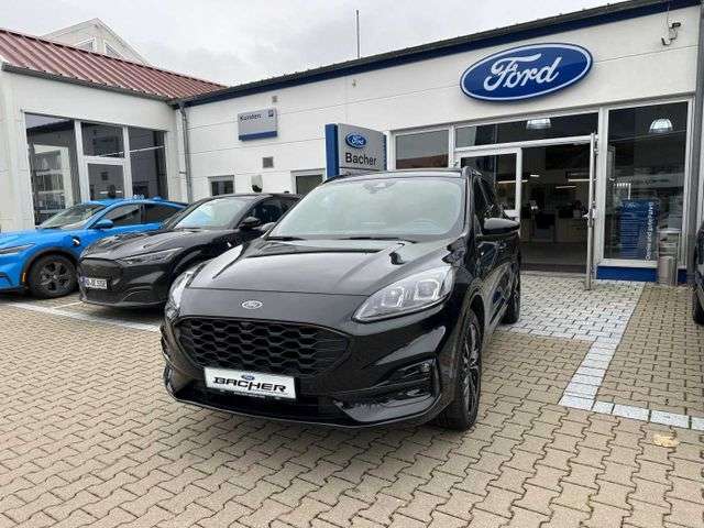 Fahrzeugbild eines Ford Kuga