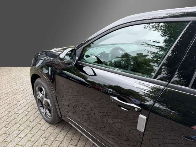 Fahrzeugbild eines Alfa Romeo Junior