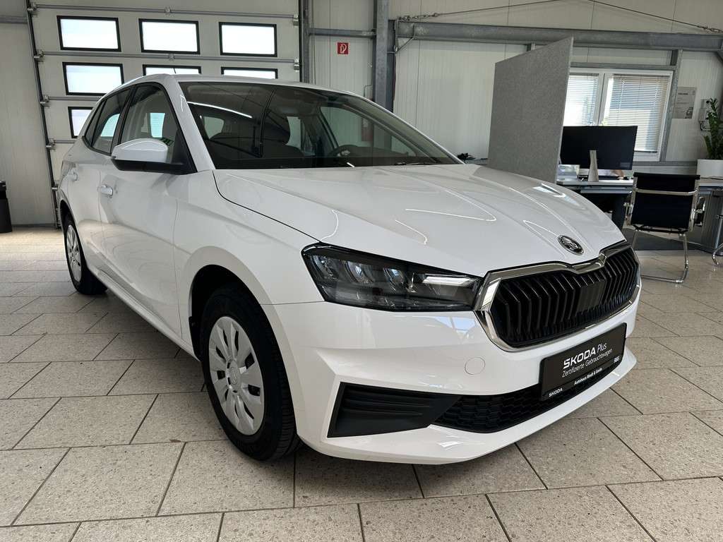 Fahrzeugbild eines Skoda Fabia