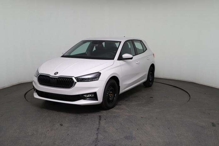Fahrzeugbild eines Skoda Fabia