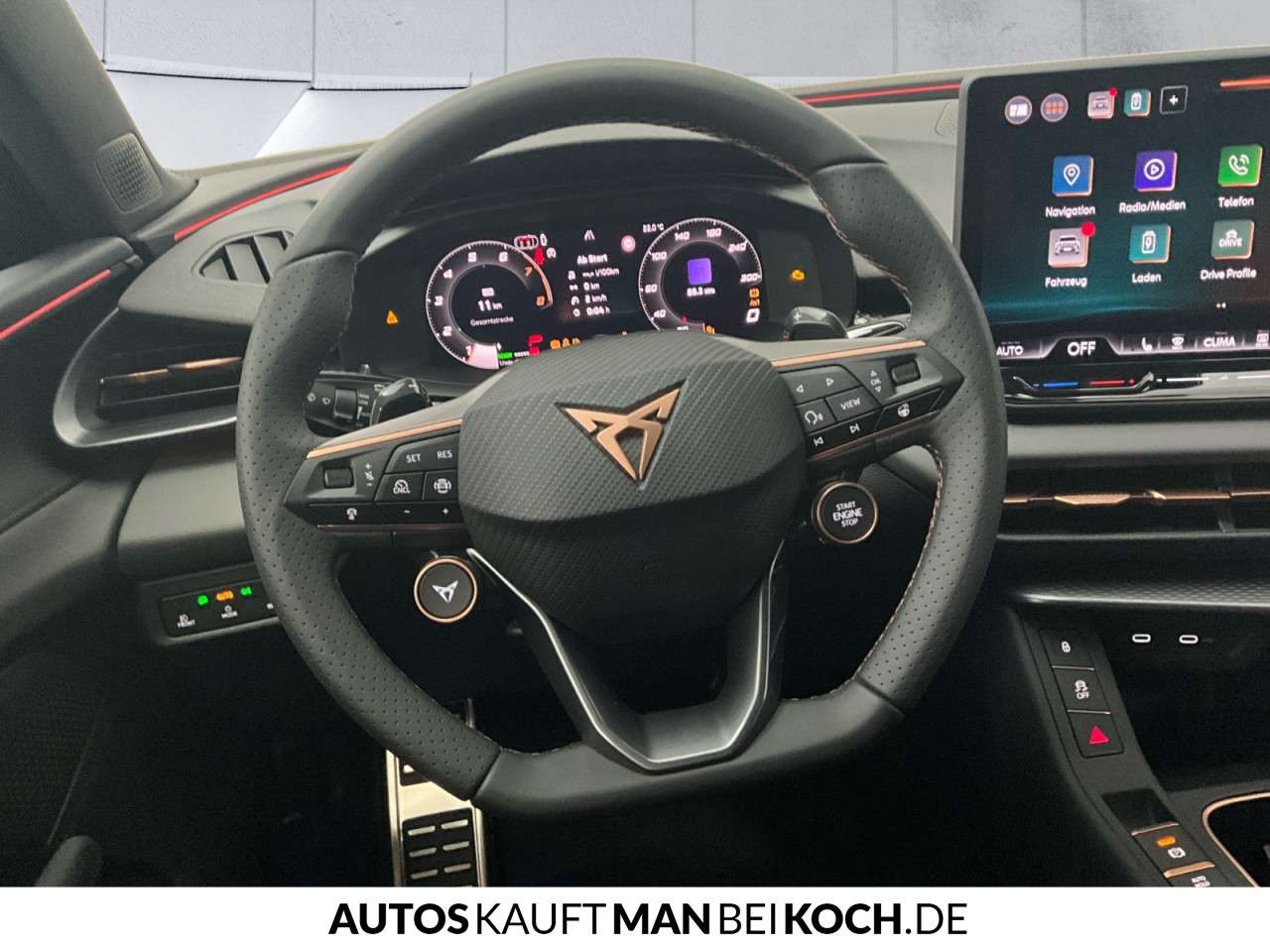 Fahrzeugbild eines CUPRA Terramar