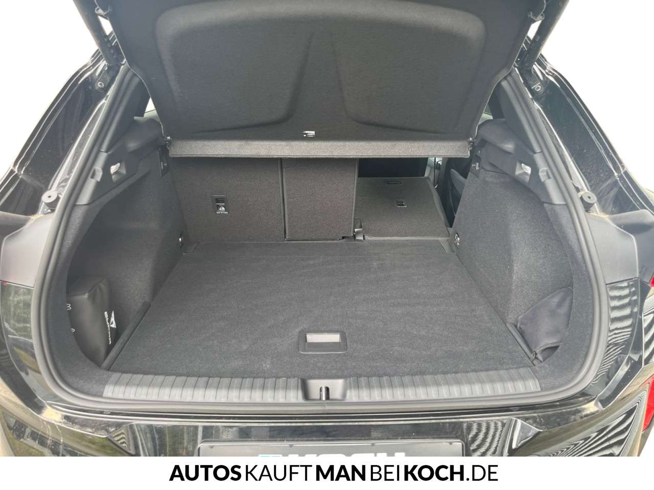 Fahrzeugbild eines CUPRA Terramar