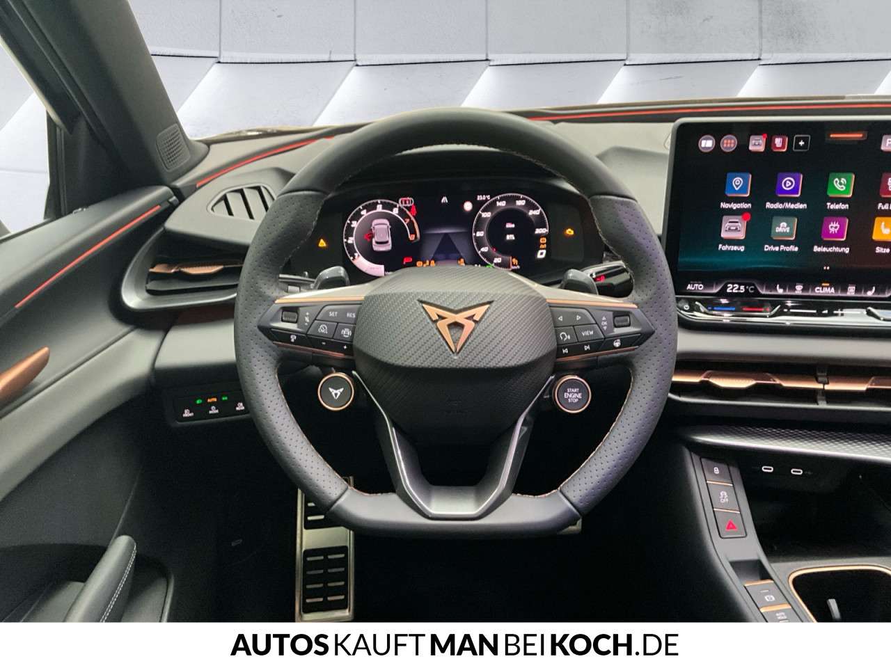 Fahrzeugbild eines CUPRA Terramar