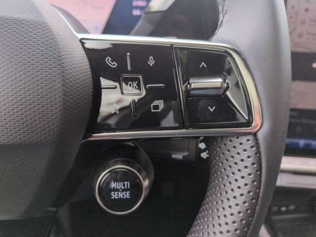 Fahrzeugbild eines Renault Rafale