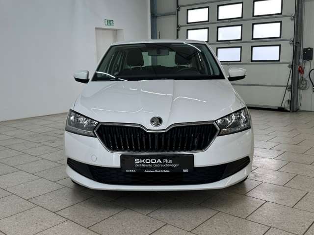 Fahrzeugbild eines Skoda Fabia