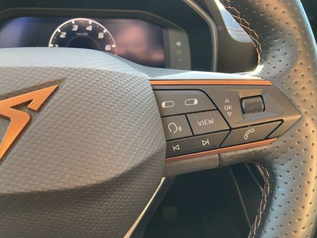 Fahrzeugbild eines CUPRA Formentor