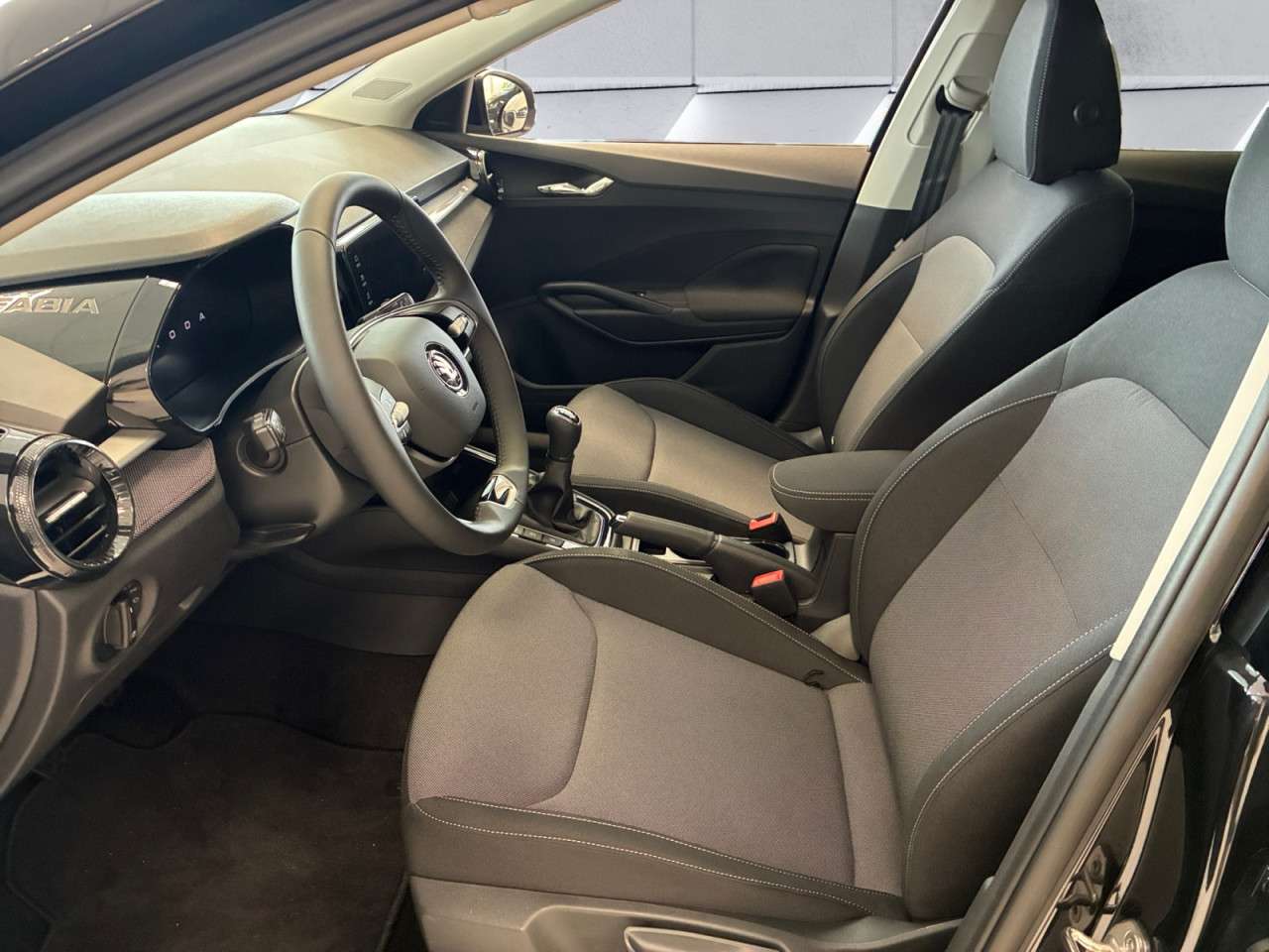 Fahrzeugbild eines Skoda Fabia