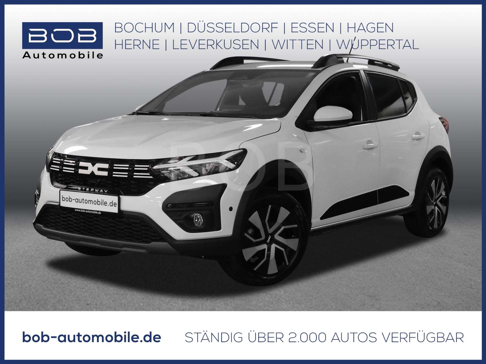 Fahrzeugbild eines Dacia Sandero