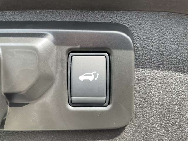 Fahrzeugbild eines Renault Scenic E-TECH