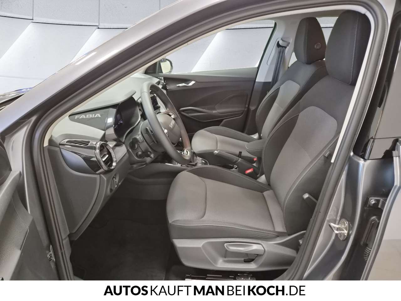 Fahrzeugbild eines Skoda Fabia