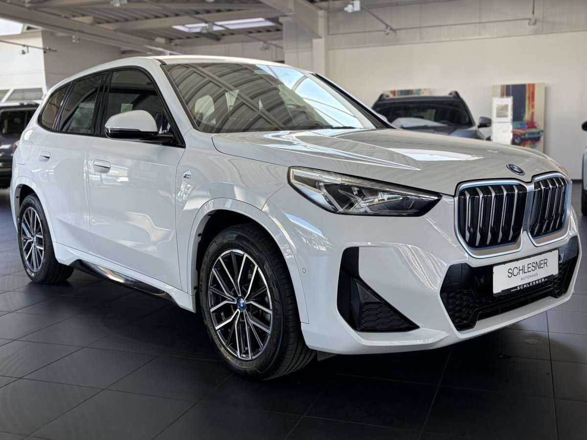 Fahrzeugbild eines BMW iX1