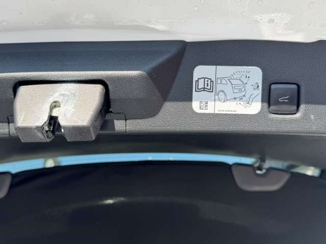 Fahrzeugbild eines Ford Kuga