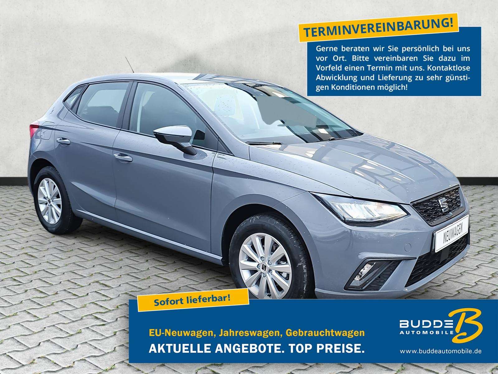 Fahrzeugbild eines SEAT Ibiza