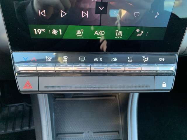 Fahrzeugbild eines Renault Symbioz