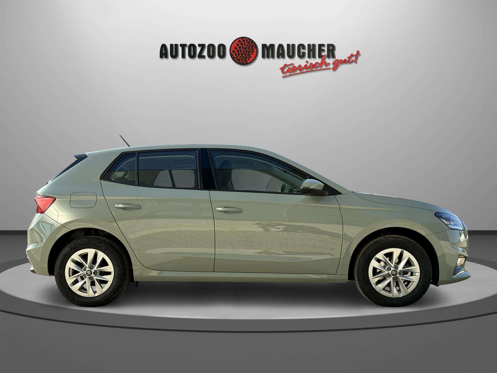 Fahrzeugbild eines Skoda Fabia