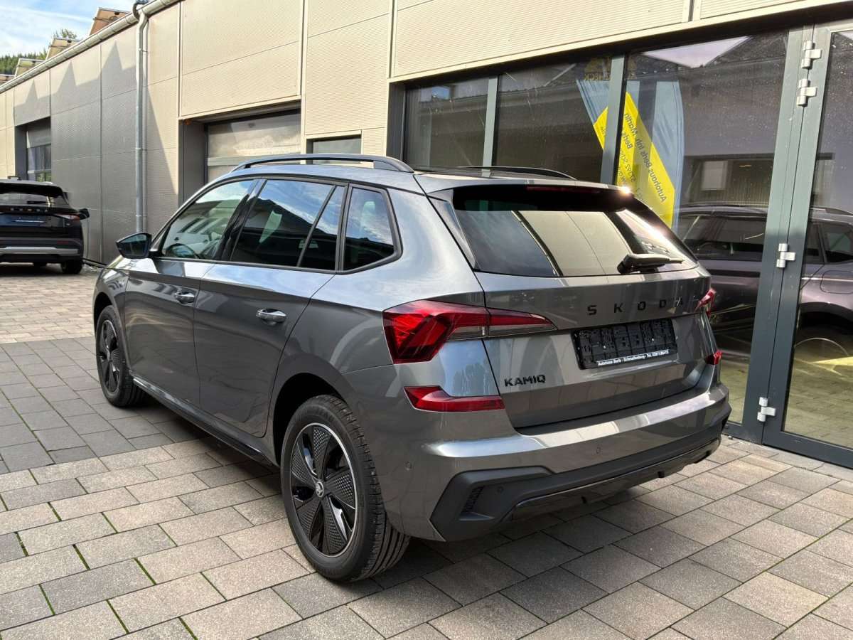 Fahrzeugbild eines Skoda Kamiq