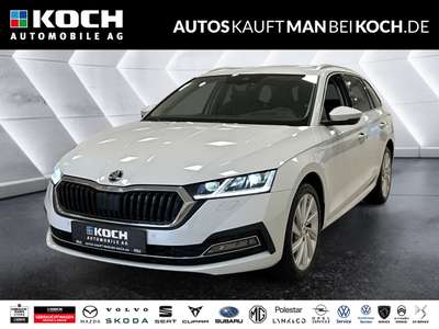 Bild Skoda Octavia