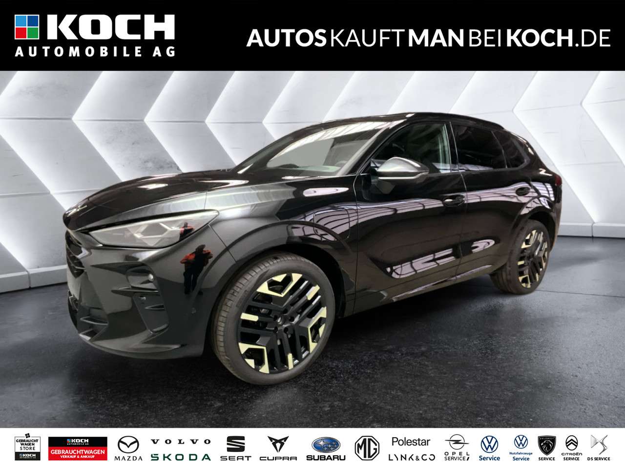 Fahrzeugbild eines CUPRA Terramar