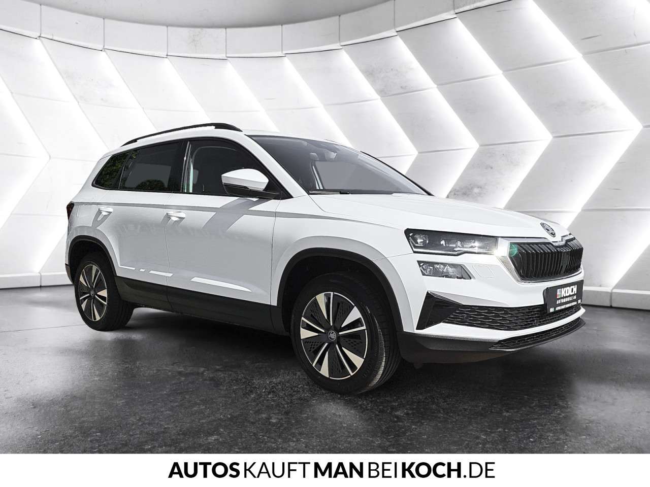 Fahrzeugbild eines Skoda Karoq