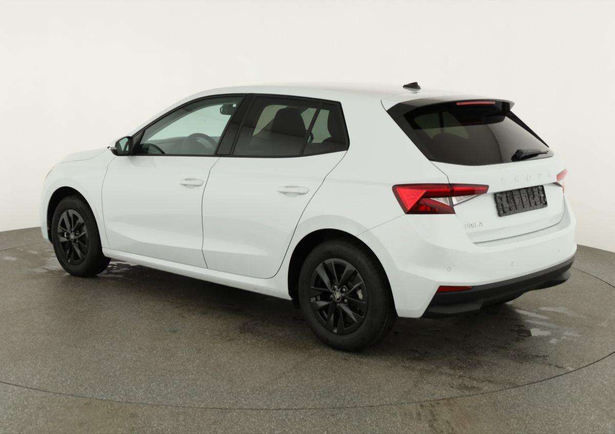 Fahrzeugbild eines Skoda Fabia