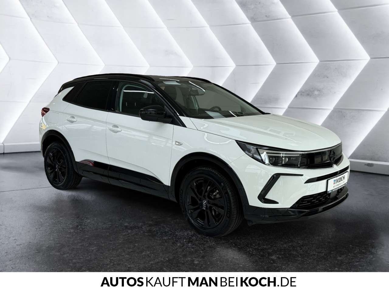 Fahrzeugbild eines Opel Grandland X