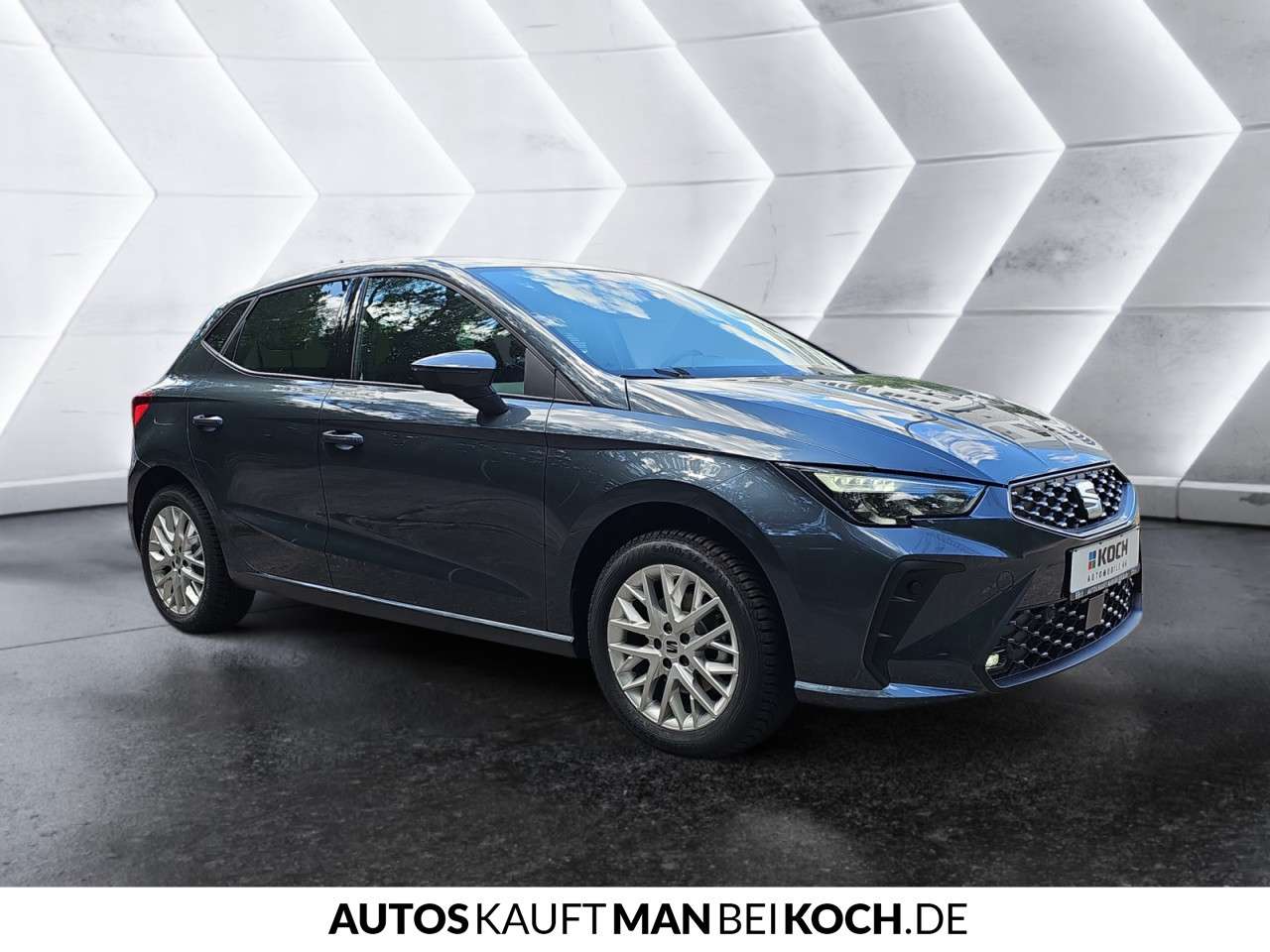 Fahrzeugbild eines SEAT Ibiza