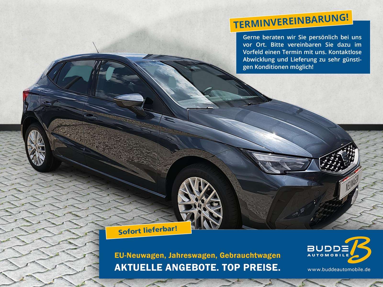 Fahrzeugbild eines SEAT Ibiza