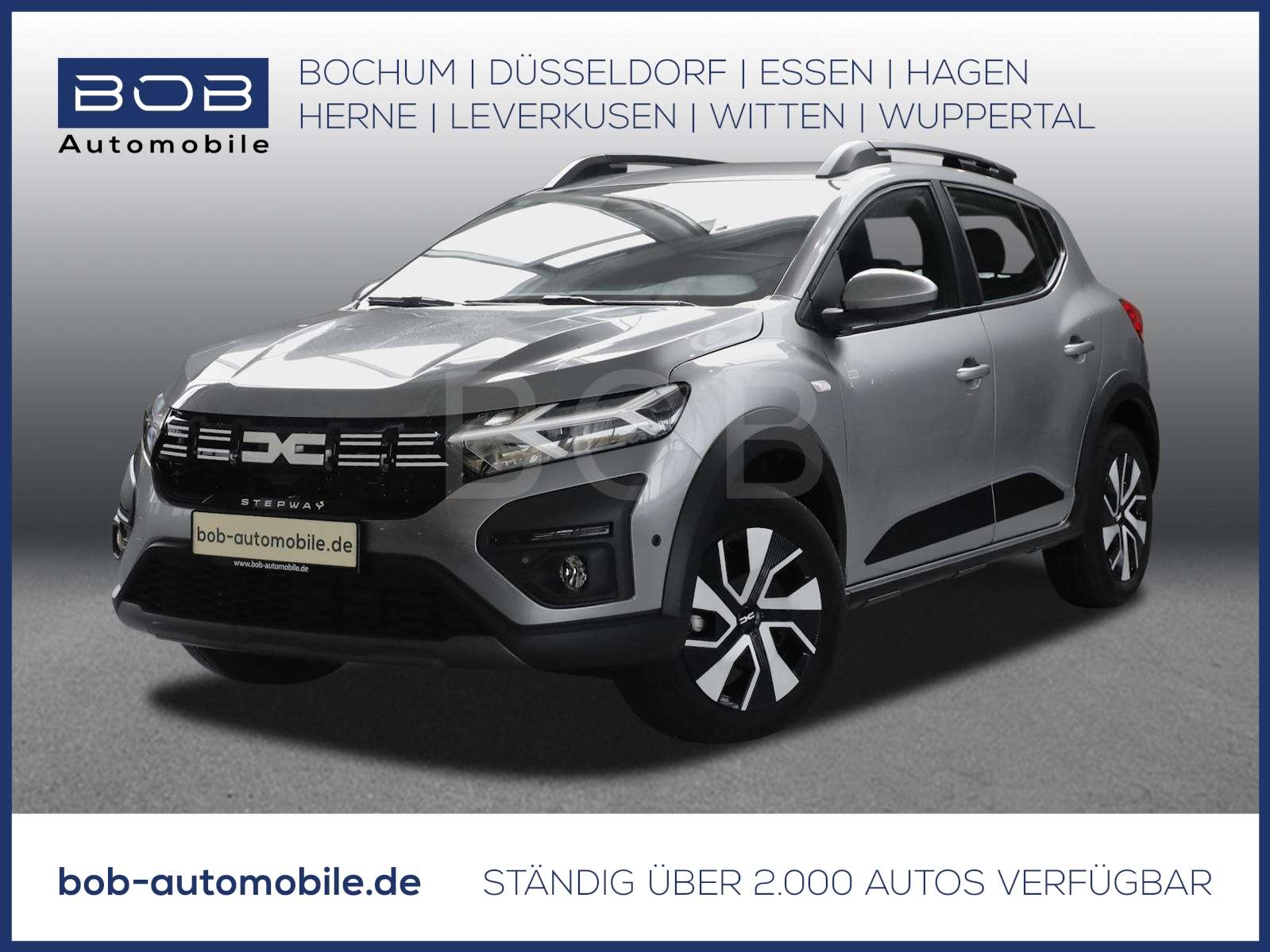 Fahrzeugbild eines Dacia Sandero