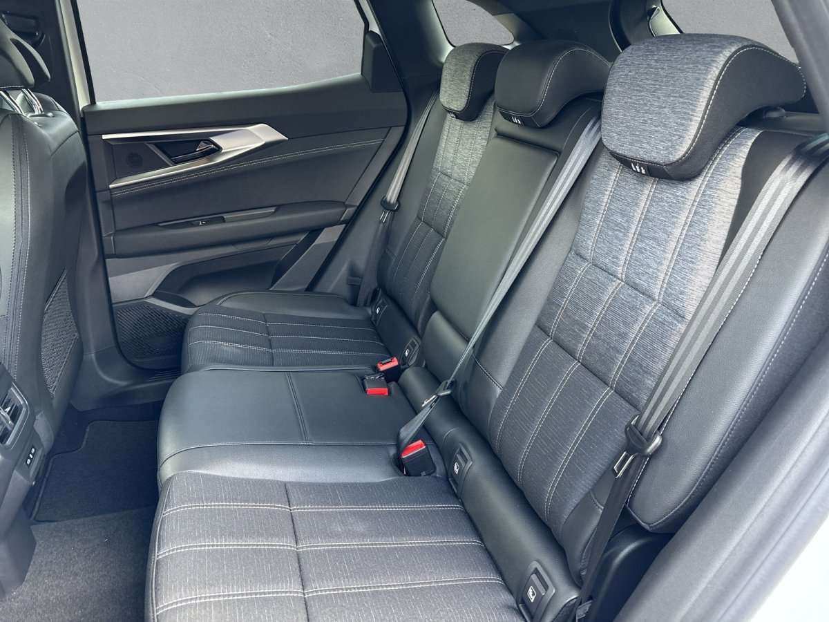 Fahrzeugbild eines Renault Austral