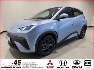 Schräge Frontansicht auf einen BYD DOLPHIN , freigestellt