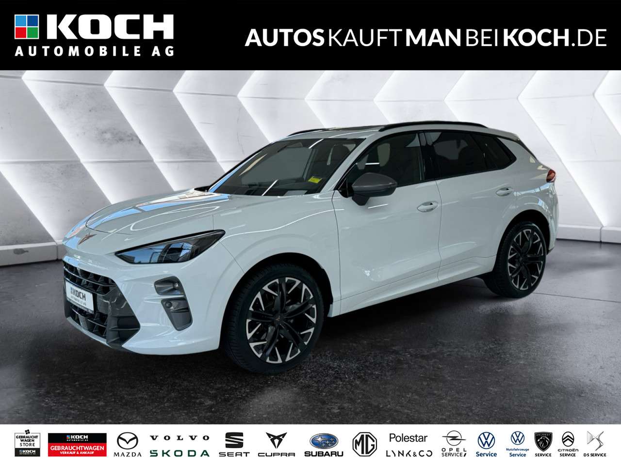 Fahrzeugbild eines CUPRA Terramar