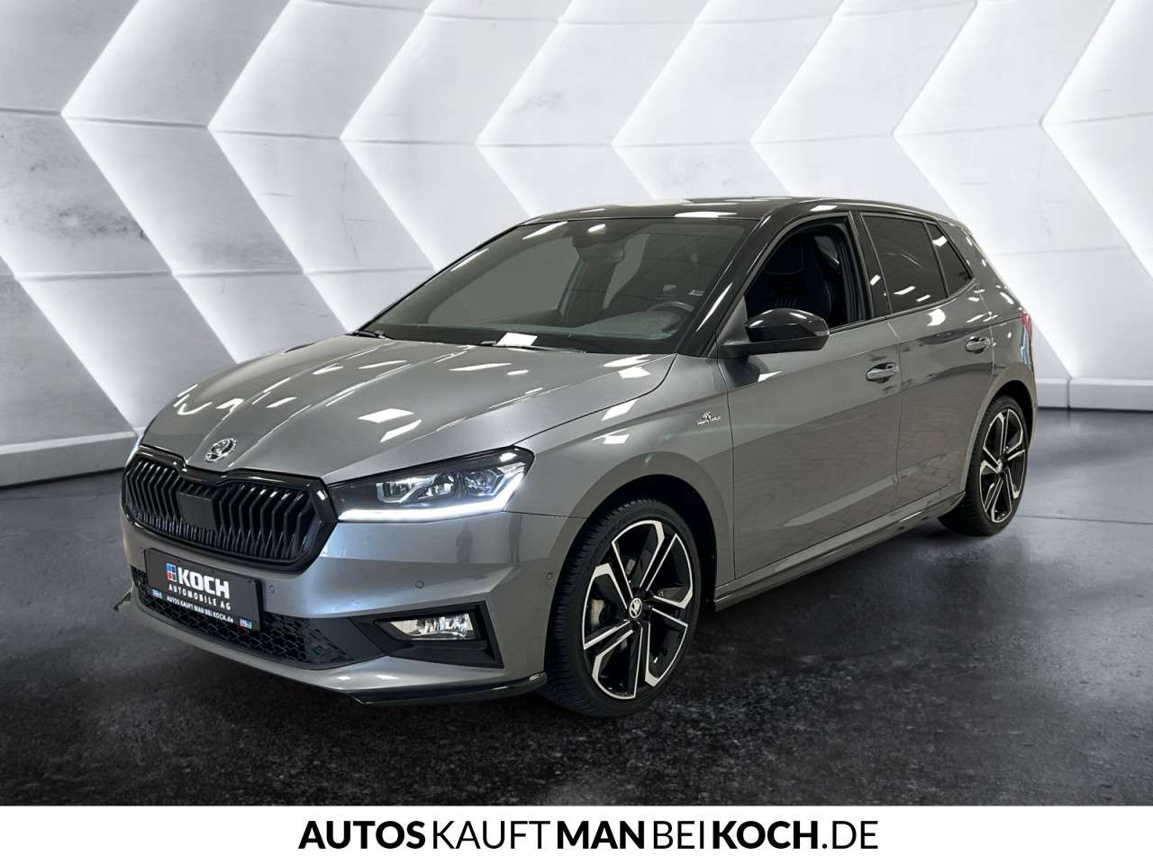 Fahrzeugbild eines Skoda Fabia