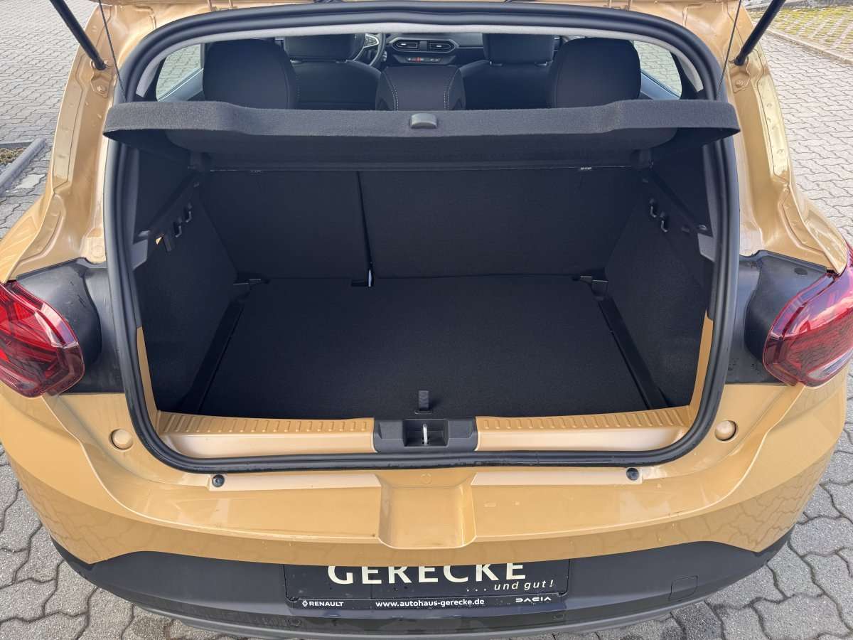 Fahrzeugbild eines Dacia Sandero