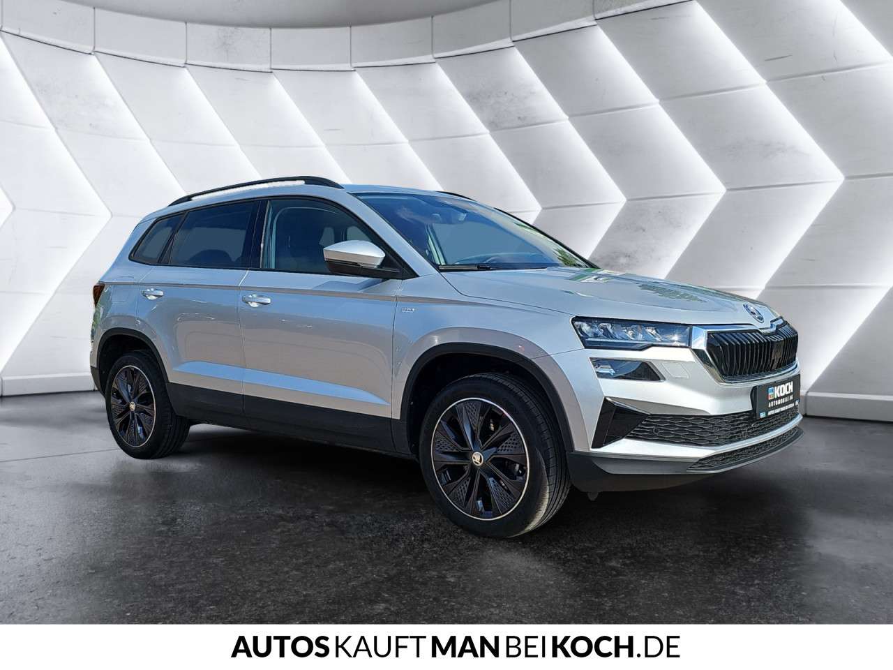 Fahrzeugbild eines Skoda Karoq