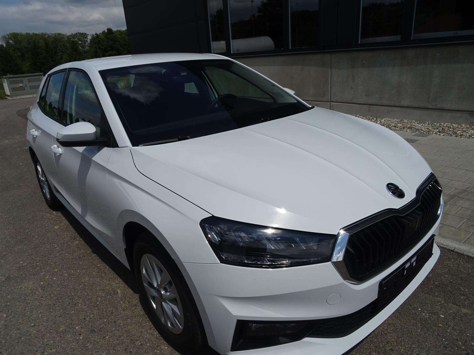 Fahrzeugbild eines Skoda Fabia