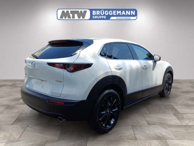 Fahrzeugbild eines Mazda CX-30