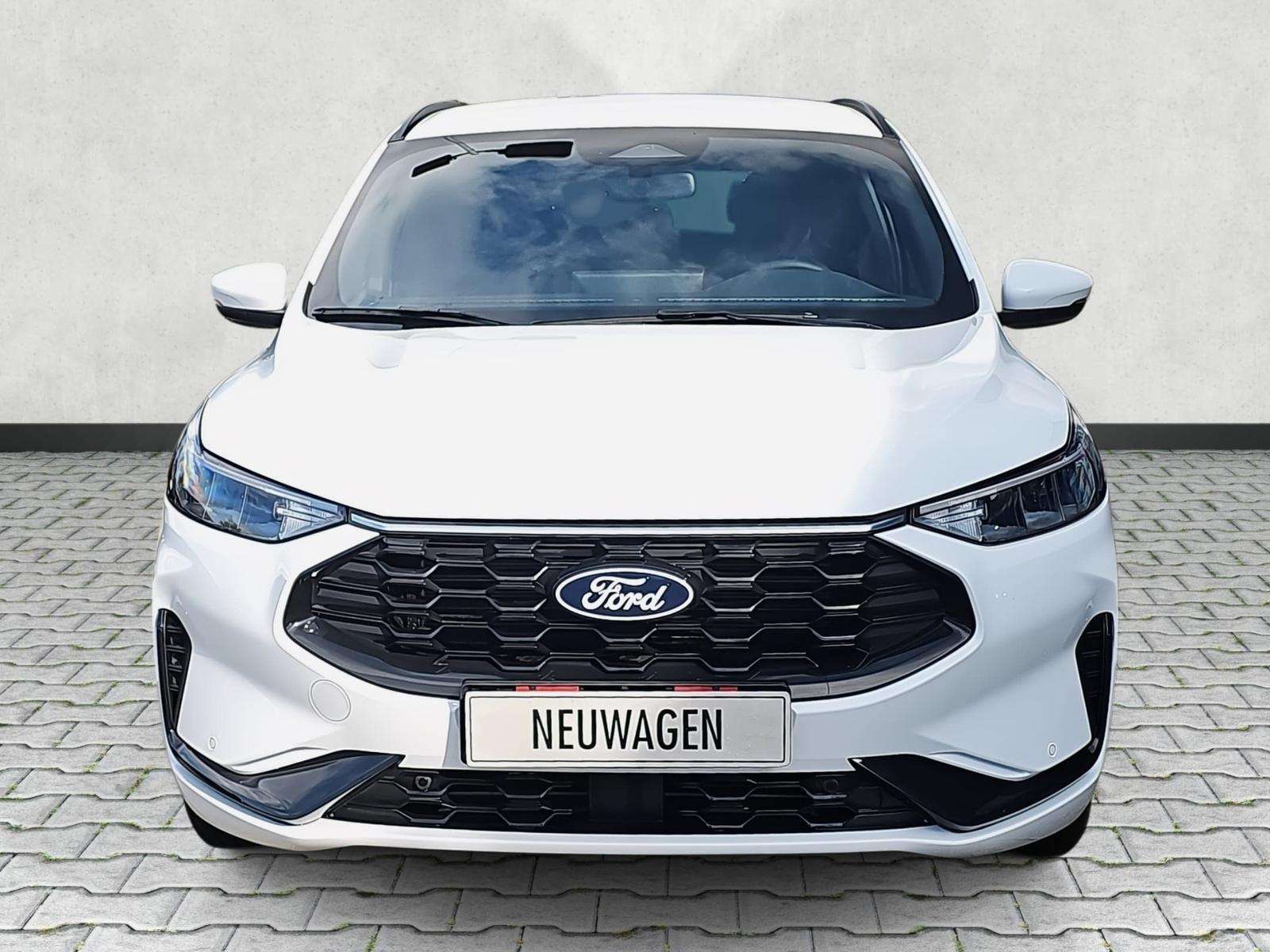 Fahrzeugbild eines Ford Kuga