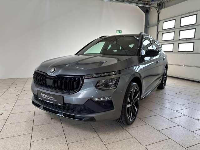 Fahrzeugbild eines Skoda Kamiq