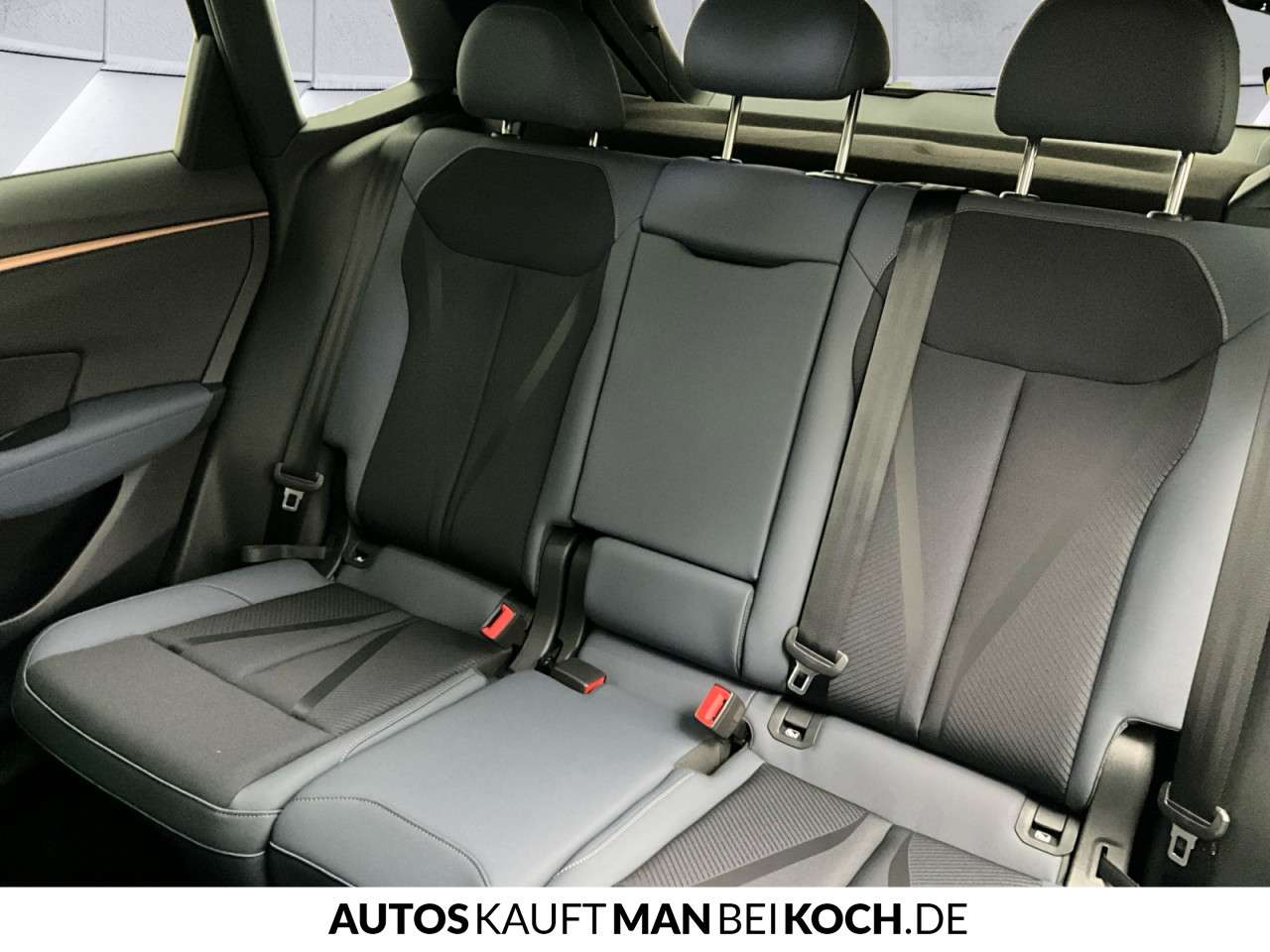Fahrzeugbild eines CUPRA Terramar