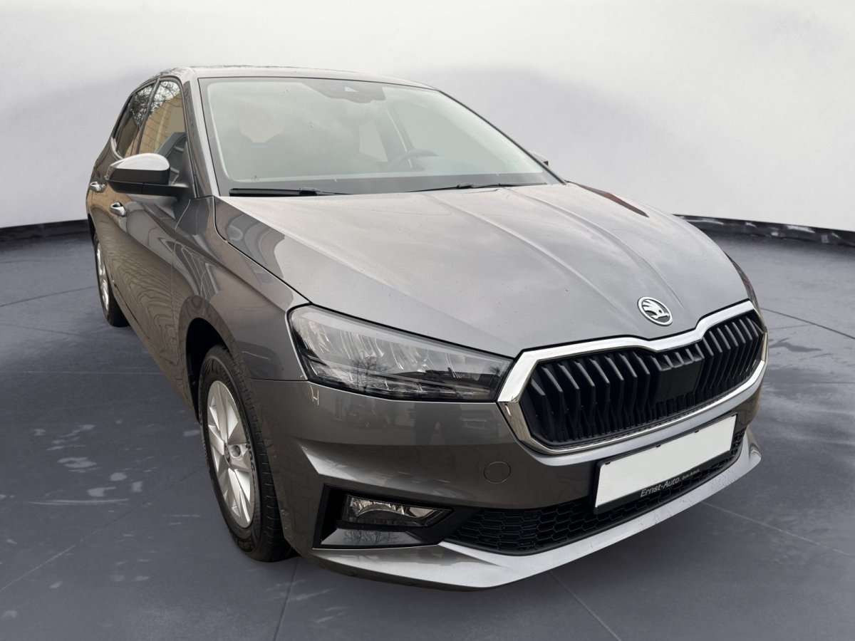 Fahrzeugbild eines Skoda Fabia