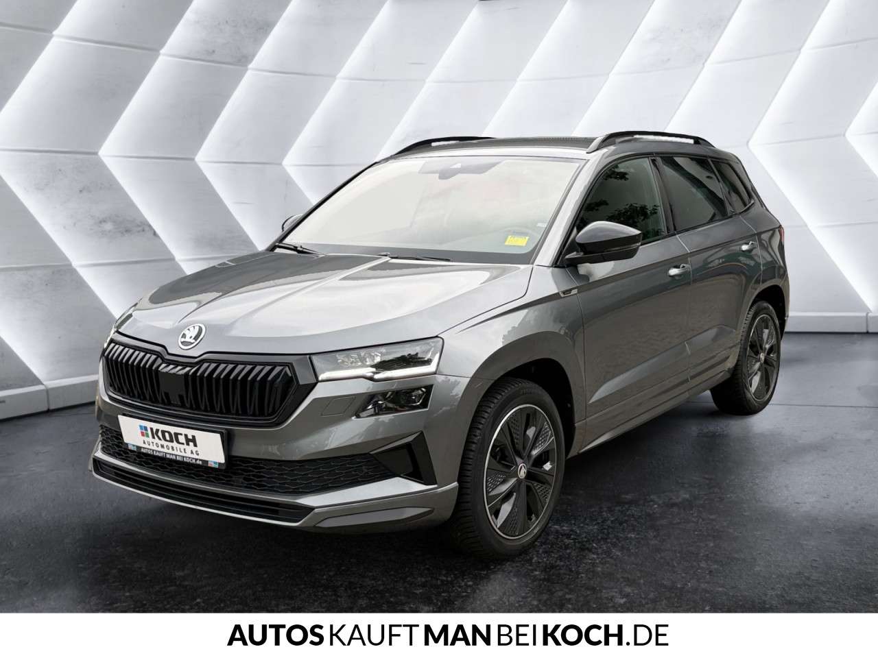 Fahrzeugbild eines Skoda Karoq